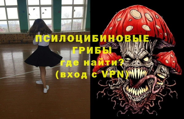 хмурый Богородицк