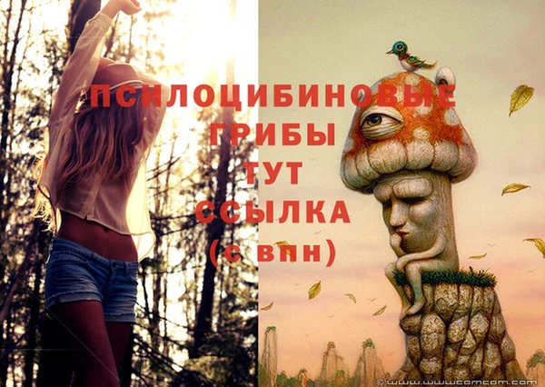 мефедрон Богданович