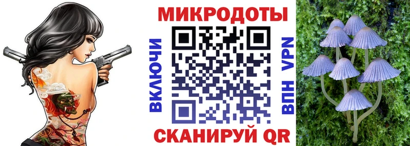 kraken tor  купить наркоту  Тосно  Псилоцибиновые грибы Magic Shrooms 